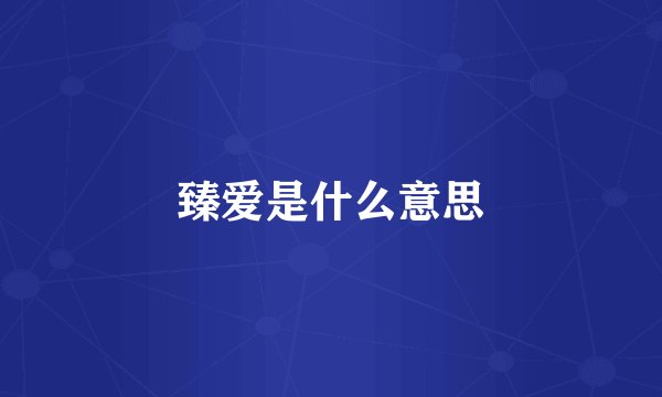 臻爱是什么意思
