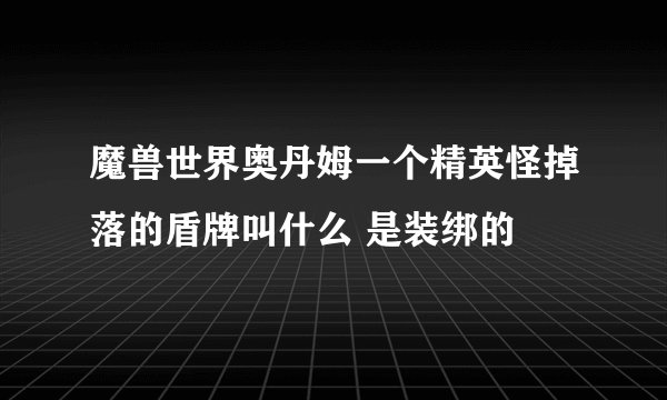 魔兽世界奥丹姆一个精英怪掉落的盾牌叫什么 是装绑的