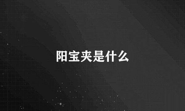 阳宝夹是什么