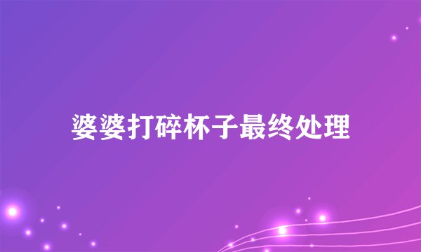 婆婆打碎杯子最终处理