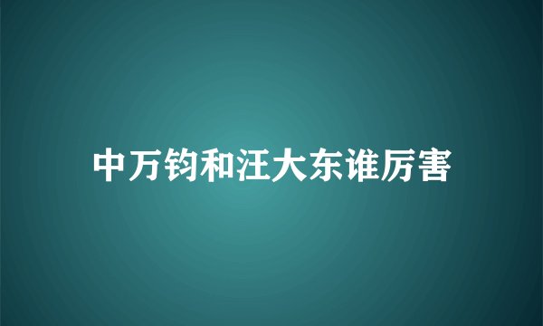中万钧和汪大东谁厉害