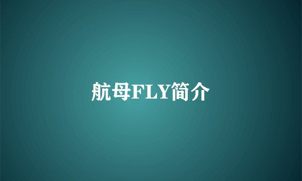 航母FLY简介