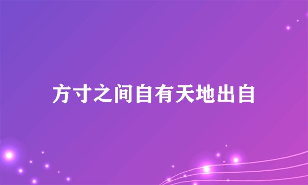 方寸之间自有天地出自