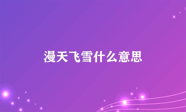 漫天飞雪什么意思