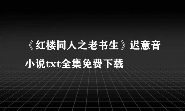 《红楼同人之老书生》迟意音小说txt全集免费下载