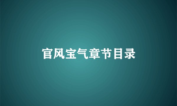 官风宝气章节目录