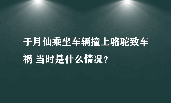 于月仙乘坐车辆撞上骆驼致车祸 当时是什么情况？