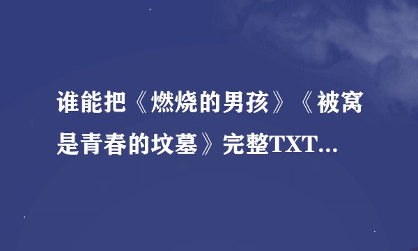 谁能把《燃烧的男孩》《被窝是青春的坟墓》完整TXT发到我邮箱？