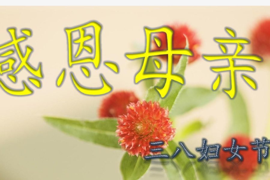 妇女节说什么话给妈妈