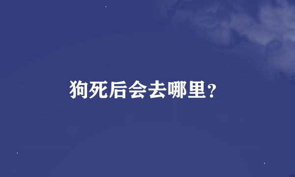 狗死后会去哪里？