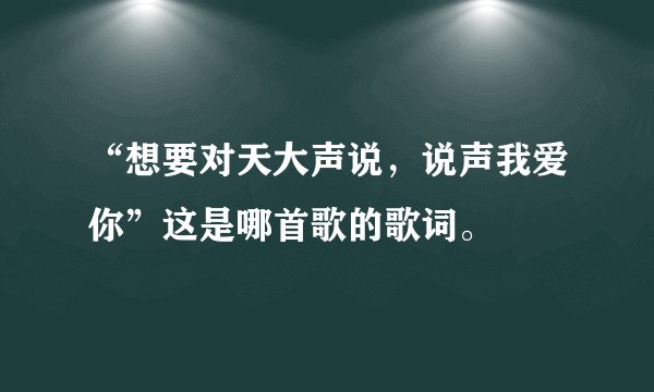 “想要对天大声说，说声我爱你”这是哪首歌的歌词。