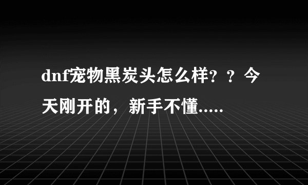 dnf宠物黑炭头怎么样？？今天刚开的，新手不懂...........