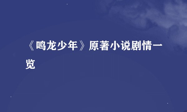 《鸣龙少年》原著小说剧情一览