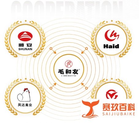 餐饮连锁品牌千千万，毛和友何以赢得众多创业者青睐