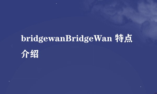 bridgewanBridgeWan 特点介绍