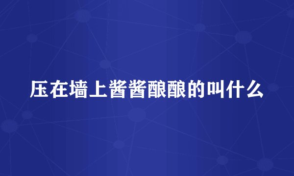 压在墙上酱酱酿酿的叫什么