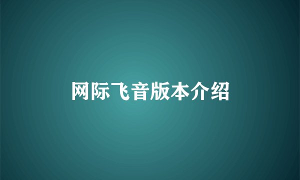 网际飞音版本介绍