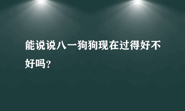 能说说八一狗狗现在过得好不好吗？