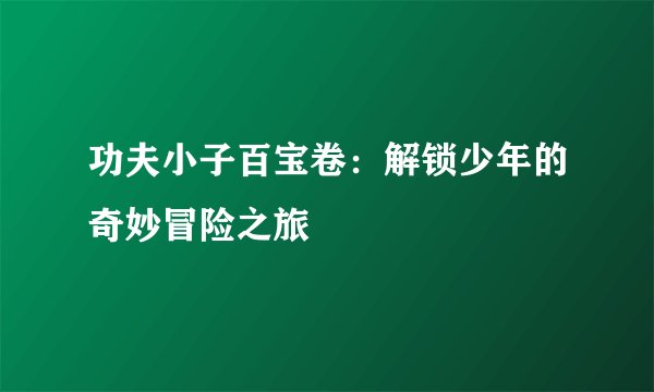 功夫小子百宝卷：解锁少年的奇妙冒险之旅