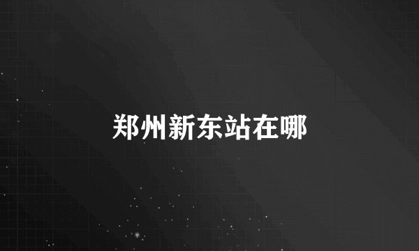 郑州新东站在哪