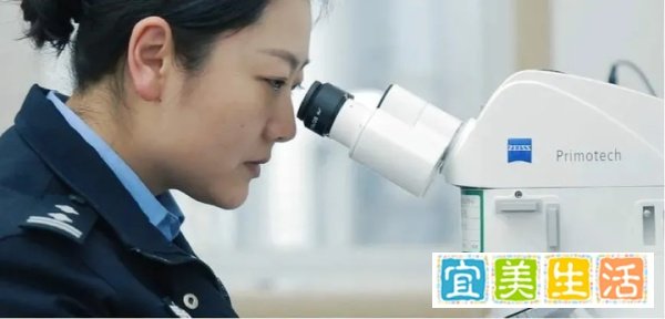 汉中公安连续三年实现新发命案全破
