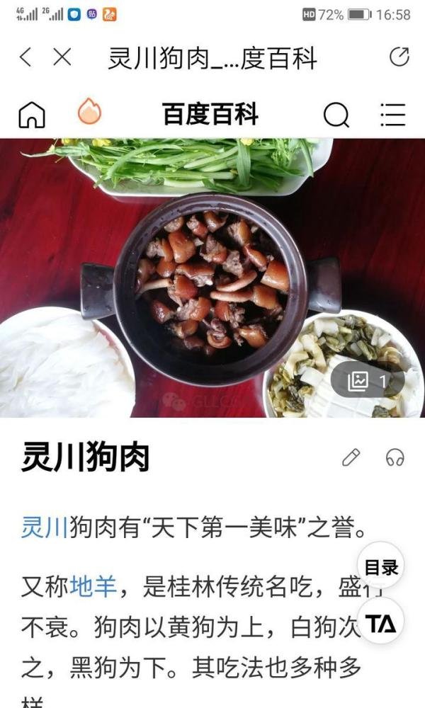 撞死流浪狗灵堂下跪承担丧葬费,狗肉店老板的我岂不是长跪不起?