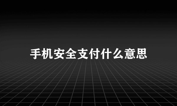 手机安全支付什么意思
