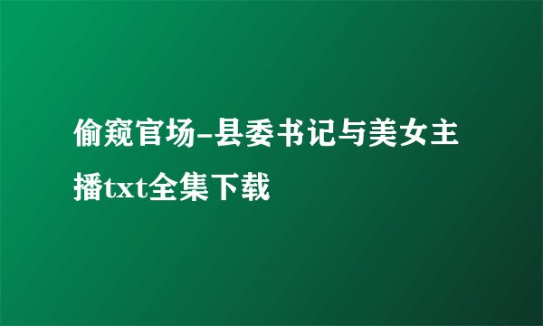偷窥官场-县委书记与美女主播txt全集下载
