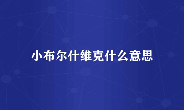 小布尔什维克什么意思