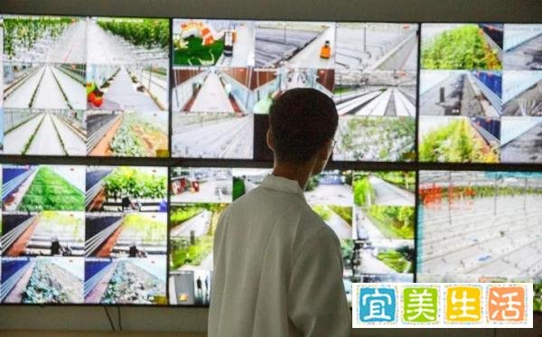 俞敏洪：上大学不仅为找工作与两农民获评职称？媒体：不必惊讶