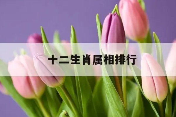 十二生肖排名排行