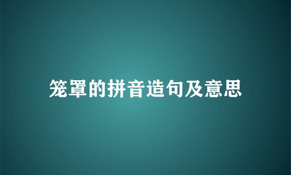 笼罩的拼音造句及意思