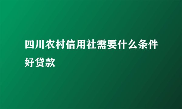 四川农村信用社需要什么条件好贷款