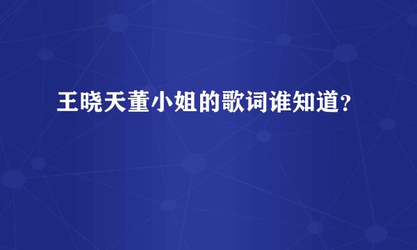 王晓天董小姐的歌词谁知道？