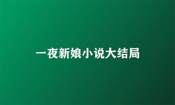 一夜新娘小说大结局