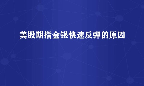 美股期指金银快速反弹的原因
