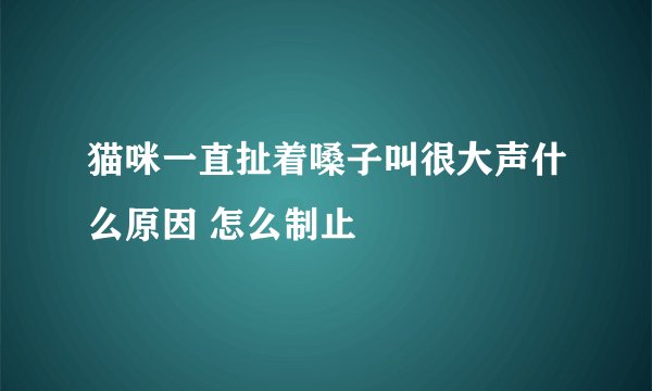 猫咪一直扯着嗓子叫很大声什么原因 怎么制止