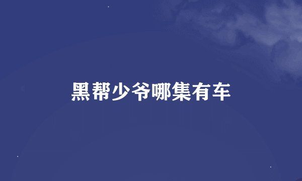 黑帮少爷哪集有车