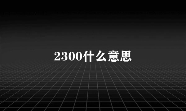 2300什么意思