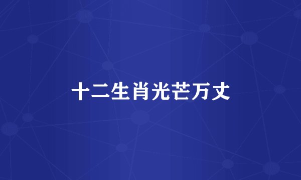 十二生肖光芒万丈