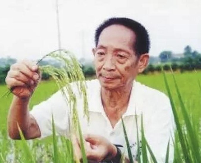 委员建议将袁隆平逝世日设为全国节约粮食日，你怎么看？