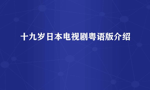 十九岁日本电视剧粤语版介绍