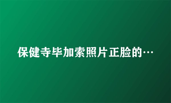 保健寺毕加索照片正脸的…