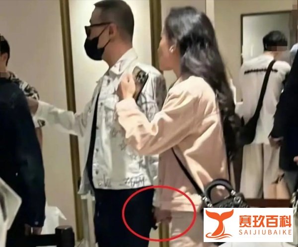 汪峰和森林北合适吗?王思聪“开撕”,储殷教授更清醒