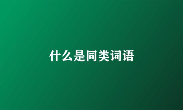 什么是同类词语