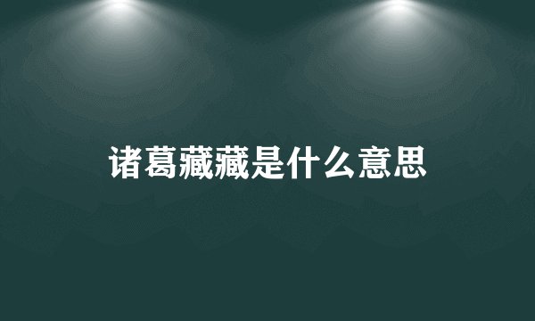 诸葛藏藏是什么意思