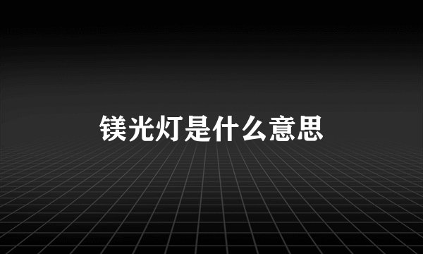 镁光灯是什么意思