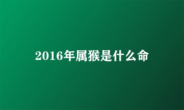 2016年属猴是什么命