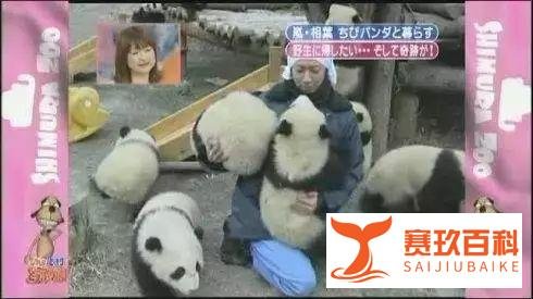 日本综艺节目推荐之天才!志村动物园