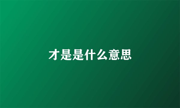 才是是什么意思
